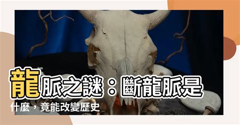 斷龍脈 意思|【斷龍脈意思】揭開古代風水秘辛：斷龍脈的真相與後果